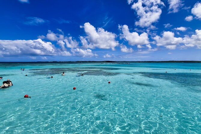 3-Hours Eye-Opening Stingray City Antigua - Transfer R/T included - The eight-minute boat ride to Stingray City