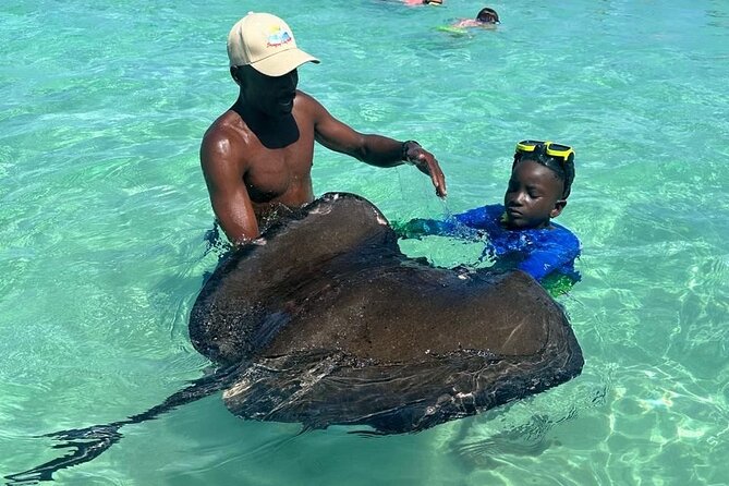 3-Hours Eye-Opening Stingray City Antigua - Transfer R/T included - A good morning plan for St. John’s