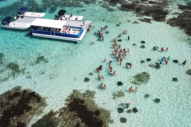 6-Hours Tour East Coast of Antigua: Stingray City, Lunch & Beach - Key points to know before booking