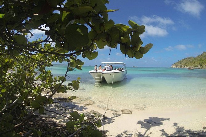 Adventure Antigua - Eli's Original Eco Tour - Long Bay and Guiana Island: short talks with real meaning