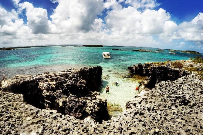Adventure Antigua - Eli's Original Eco Tour - Snorkeling: good variety, limited time