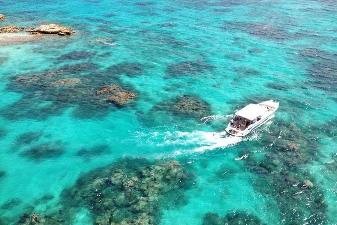 Adventure Antigua - Eli's Original Eco Tour - Is $142.50 a fair price?