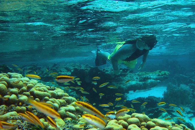 Adventure Antigua - Eli's Original Eco Tour - Great Bird Island: the best all-round stop