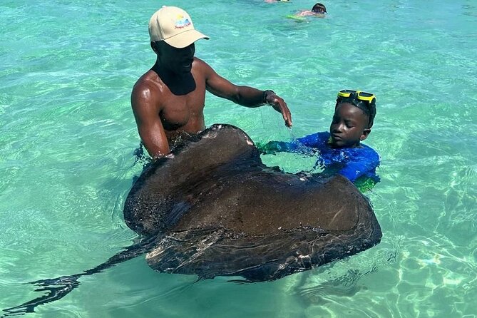 ANTIGUA FROM TOP TO BOTTOM: Stingray City, Beach, lunch & more... - Why Stingray City gives this Antigua tour its shape