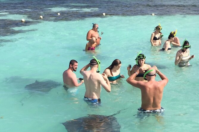 ANTIGUA FROM TOP TO BOTTOM: Stingray City, Beach, lunch & more... - A set Caribbean lunch in Seatons