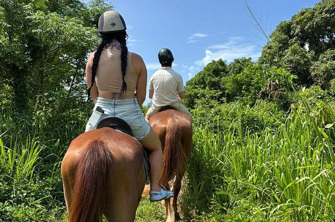 Antigua Horse Ride and Swim - What the $120 price really covers