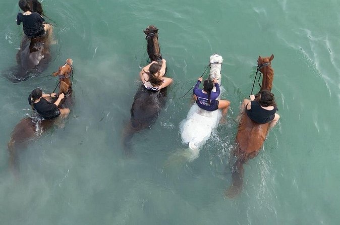 Antigua Horse Ride and Swim - Who may want a different Antigua activity