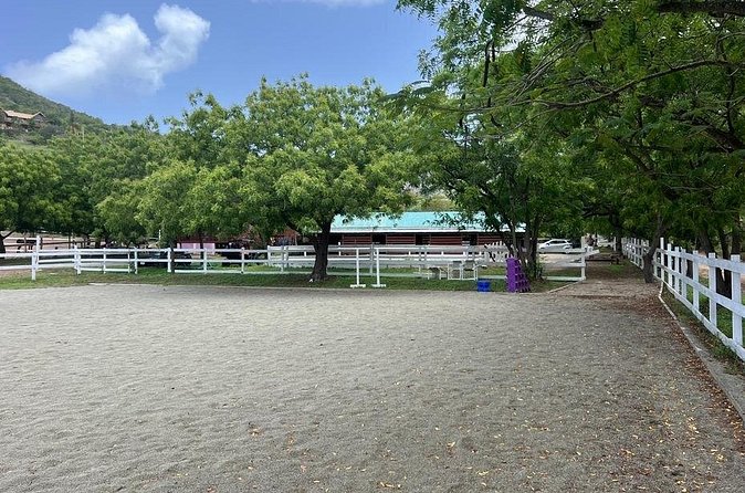 Antigua Horse Ride and Swim - Entering the private beach and water