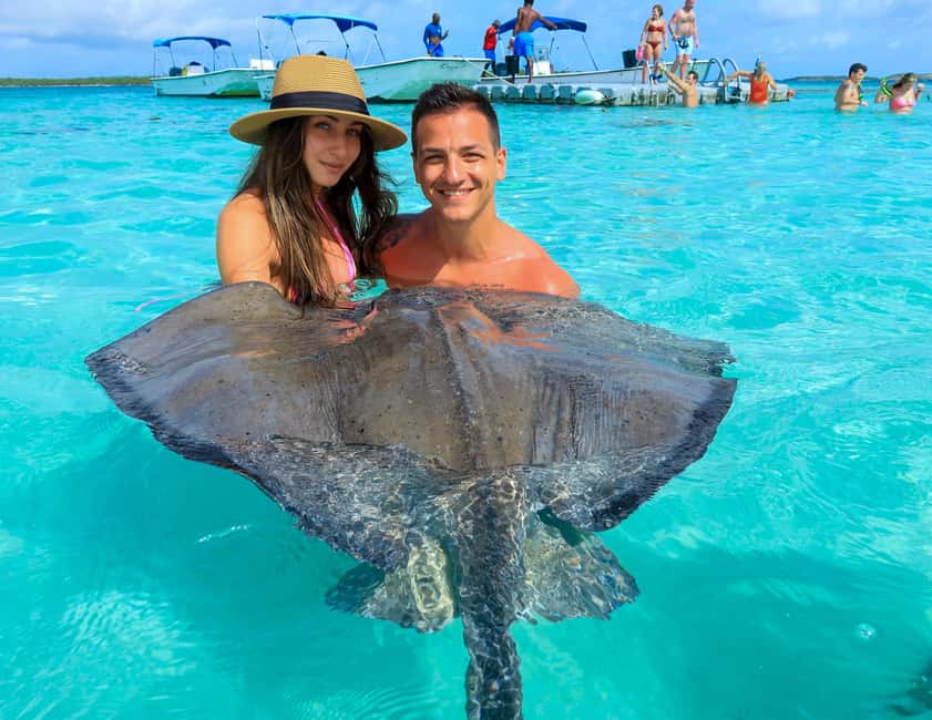 Antigua: Stingray City Experience with Round-Trip Transfer - Key points to know before you book