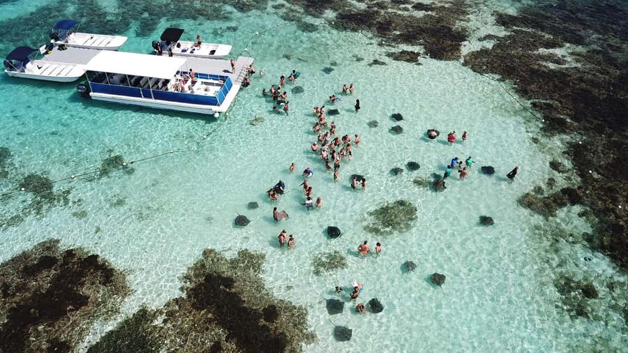 Antigua: Stingray City Experience with Round-Trip Transfer - Is $149 a fair price?