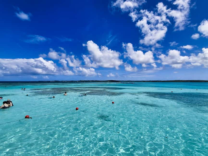 Antigua: Stingray City Experience with Round-Trip Transfer - Standing in shallow water with the stingrays