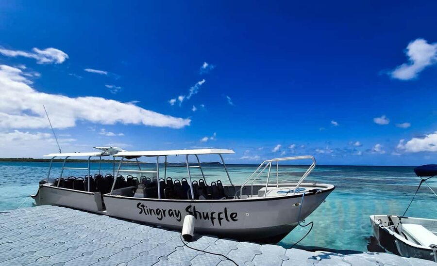 Antigua: Stingray City Experience with Round-Trip Transfer - Who will enjoy Stingray City most