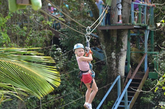 Antigua Zipline Canopy Adventure from St John’s - Rope challenges and suspension bridges