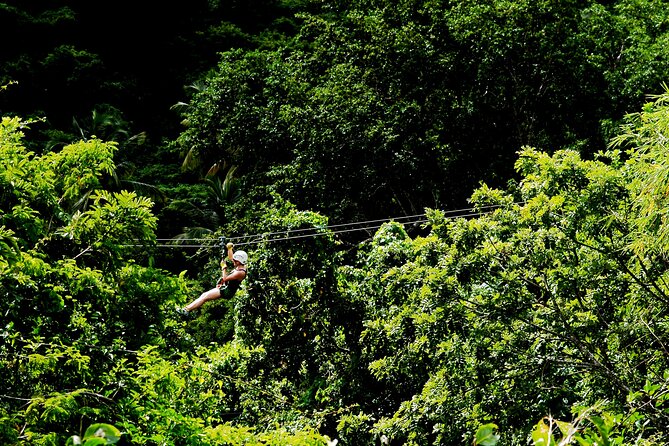 Antigua Zipline Canopy Adventure from St John’s - The walk out is the toughest part