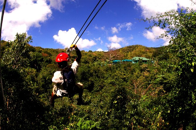Antigua Zipline Canopy Adventure from St John’s - What $110 buys you