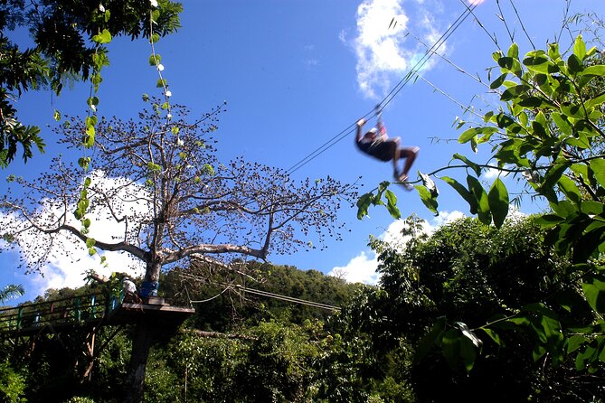 Antigua Zipline Canopy Adventure from St John’s - Thirteen ziplines across Antigua’s forest gorge