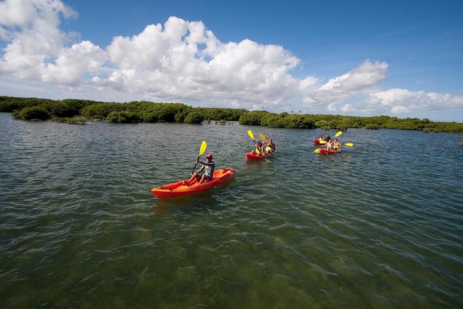 Antigua Zipline & Kayaking Combo From St. John's - Eight zip lines above Fig Tree Drive