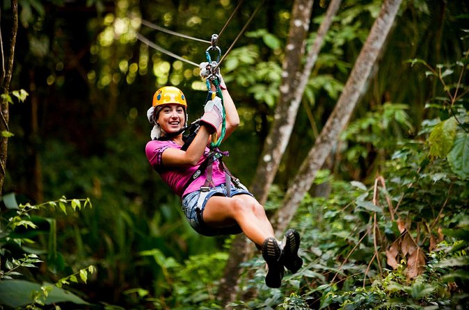 Antigua Zipline & Kayaking Combo From St. John's - A quieter hour among the mangroves