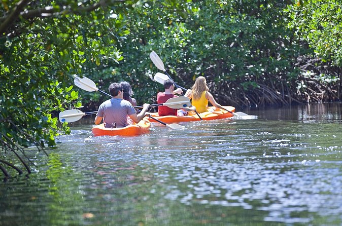 Antigua Zipline & Kayaking Combo From St. John's - Who will enjoy this Antigua combination tour