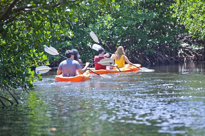 Antigua Zipline & Kayaking Combo From St. John's - Practical ways to make the day easier