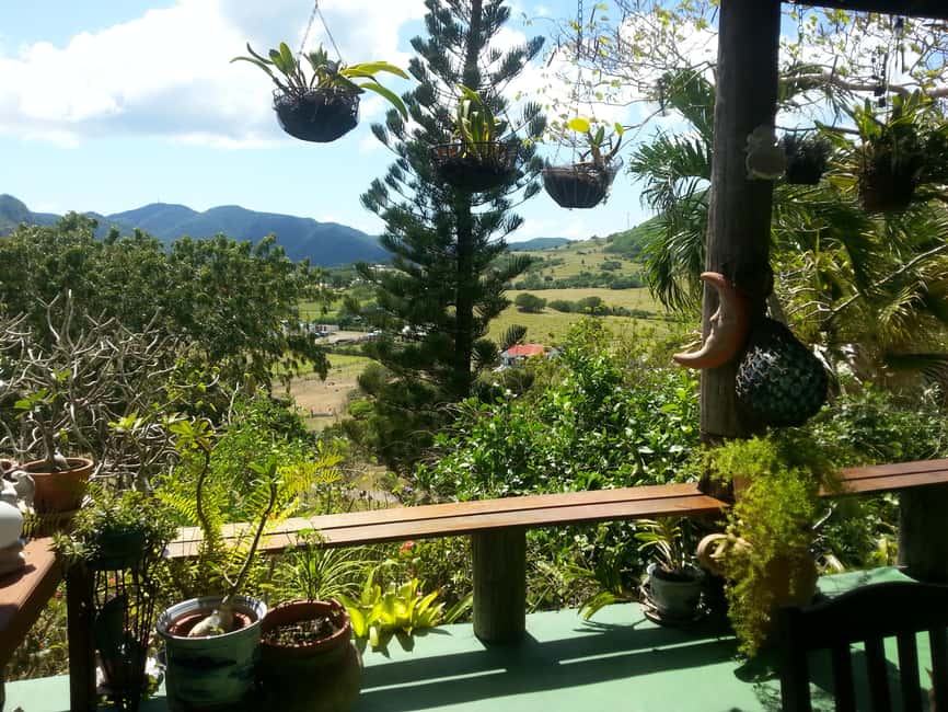 Antiguan experience home tour with local guide with lunch - White sand, swimming, and lunch at Ffryes Beach