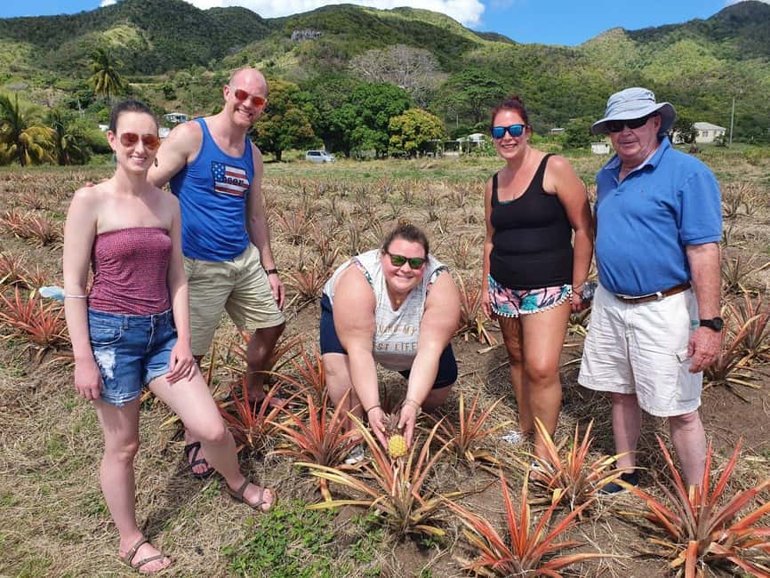 Antiguan experience home tour with local guide with lunch - The historic home above the valley