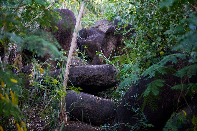 Caribbean Stonehenge - Hike on Green Castle Hill, Antigua. - What the 2 to 4 hour outing includes