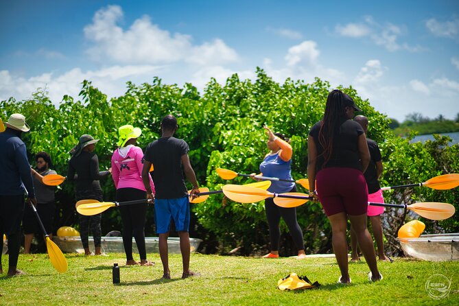 Clear Kayak Tour in Mangrove Antigua - How the Clear Kayak Affects the Experience