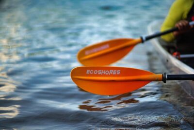 Clear Kayak Tour in Mangrove Antigua