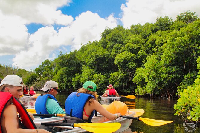 Clear Kayak Tour in Mangrove Antigua - Fitness, Comfort, and Group Size