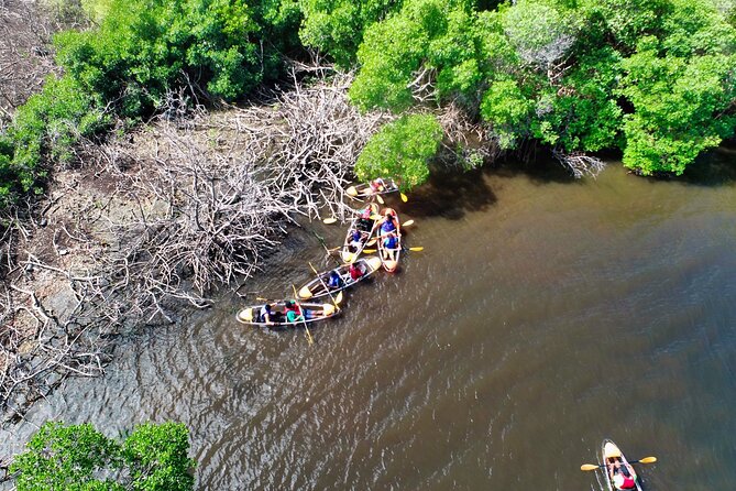Clear Kayak Tour in Mangrove Antigua - Getting to the Meeting Point in Osbourn
