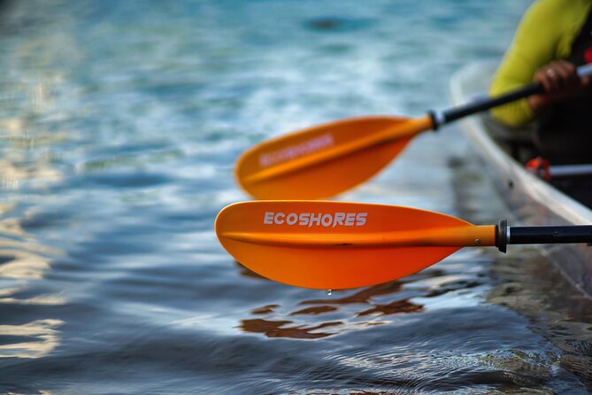Clear Kayak Tour in Mangrove Antigua - Guides Who Add More Than Directions