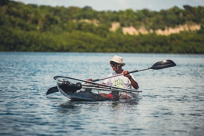 Crystal Kayak & Snorkel Eco Tour (with transfer) - Showers, snacks, and a comfortable finish