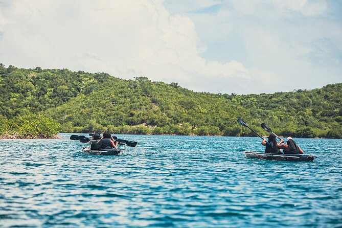 Crystal Kayak & Snorkel Eco Tour (with transfer) - Who will enjoy this Antigua excursion most