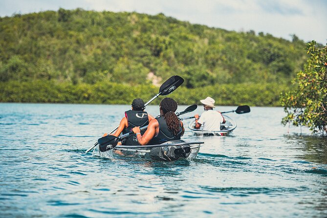 Crystal Kayak & Snorkel Eco Tour (with transfer) - Timing, price, and cancellation terms