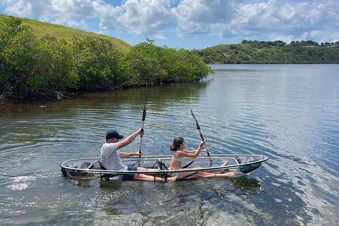 Crystal Kayak & Snorkel Eco Tour (with transfer) - A calm mangrove bay, with a little work involved