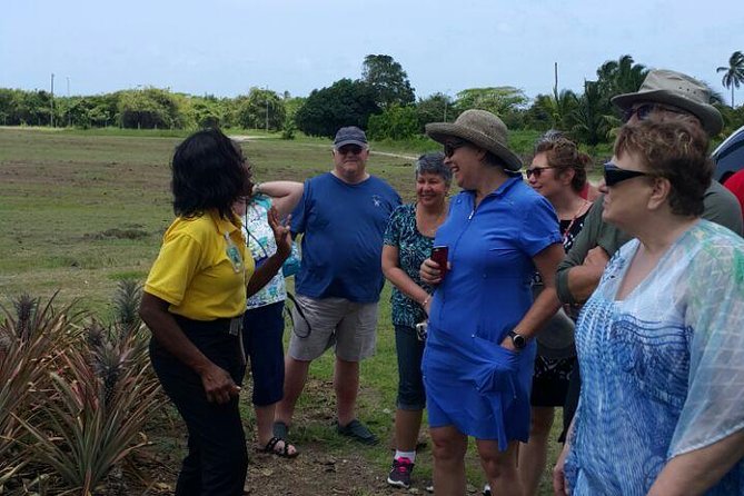 Cultural and Historical Home Tour in The Antiguan Experience - St. John’s cathedral and Antigua’s religious past