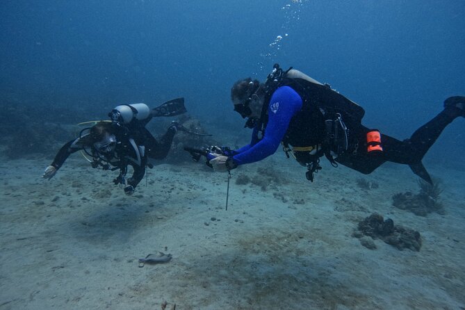 DiveCarib - An Eco-Friendly Certified Diver Trip in Antigua - The boat ride is part of the Antigua experience