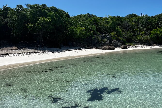 FANTASTIC Green Island and Sea Turtles - Half Day share boat trip - Why Green Island feels different before 11 a.m.