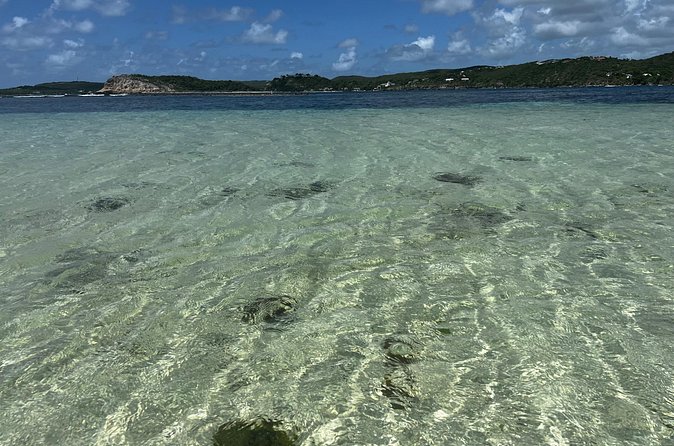 FANTASTIC Green Island and Sea Turtles - Half Day share boat trip - Three hours of sand, water, and turtles
