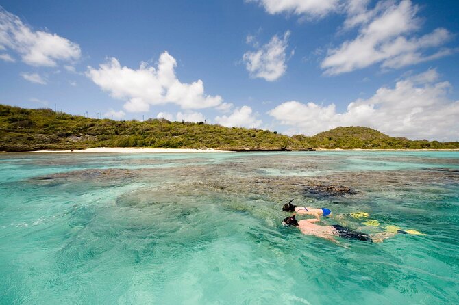 FANTASTIC Green Island and Sea Turtles - Half Day share boat trip - Snacks, fruit, prosecco, and rum