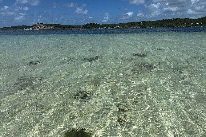 FANTASTIC Green Island and Sea Turtles - Half Day share boat trip - What the guides add to the experience