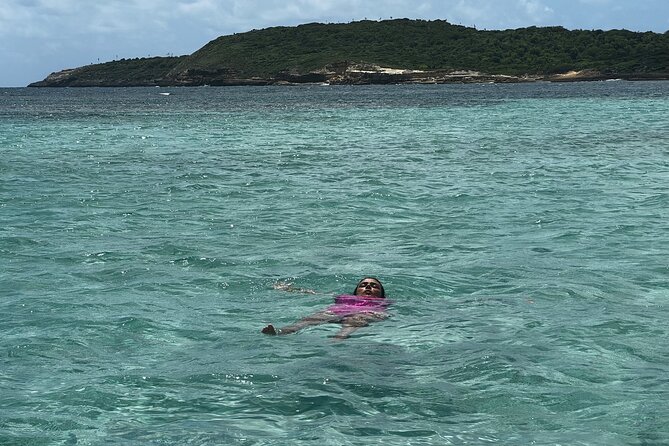 FANTASTIC Green Island and Sea Turtles - Half Day share boat trip - Is the $179.90 price fair?
