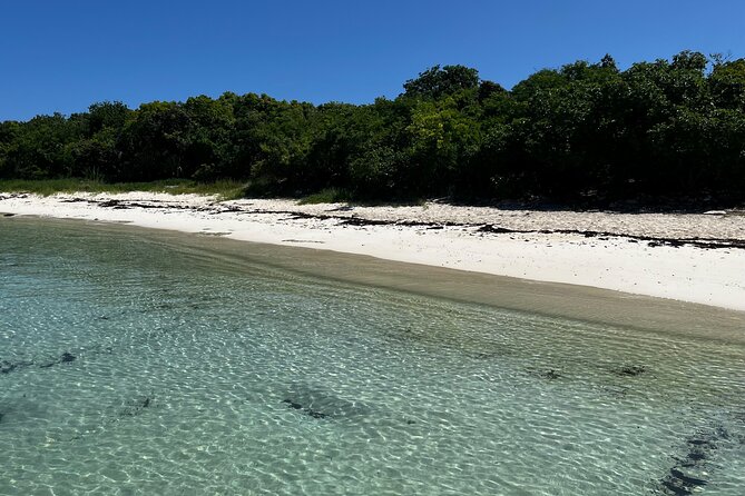 FANTASTIC Green Island and Sea Turtles - Half Day share boat trip - The 40-minute ride from St. John’s