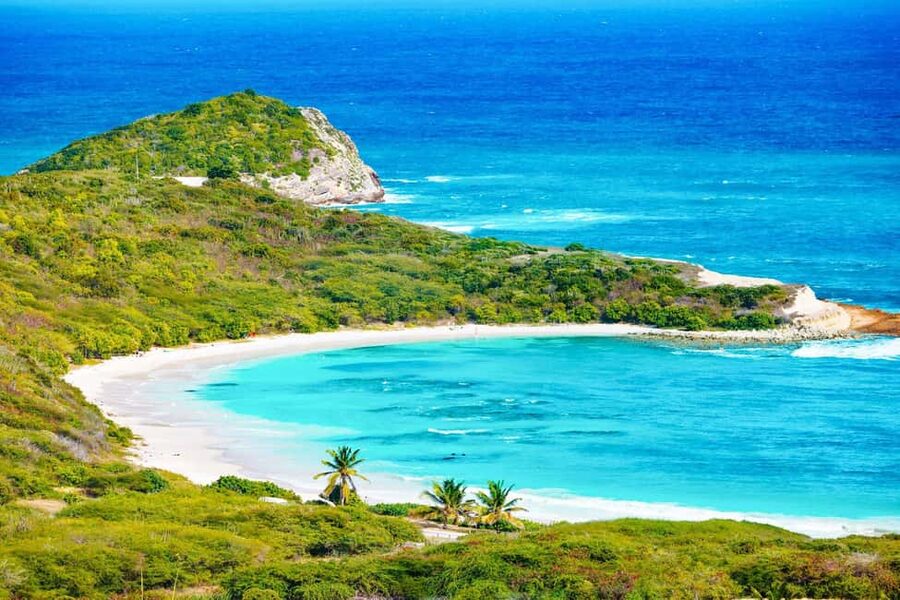 From St John's: Half Moon Bay Beach Half-Day Trip by Van - Half Moon Bay’s wild, white-sand setting