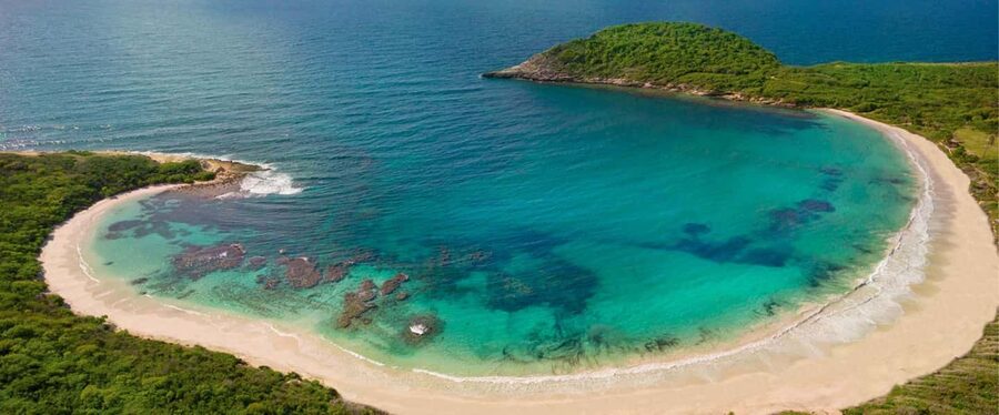 From St John's: Half Moon Bay Beach Half-Day Trip by Van - A small van ride from St. John’s