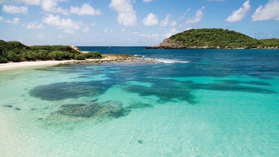 From St John's: Half Moon Bay Beach Half-Day Trip by Van - Swimming, snorkeling, and natural clay
