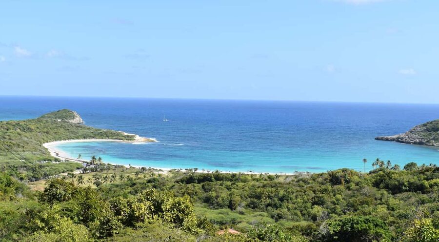From St John's: Half Moon Bay Beach Half-Day Trip by Van - Who should book this Half Moon Bay trip