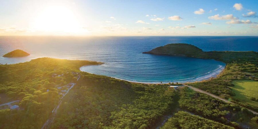 From St John's: Half Moon Bay Beach Half-Day Trip by Van - Should you book it?
