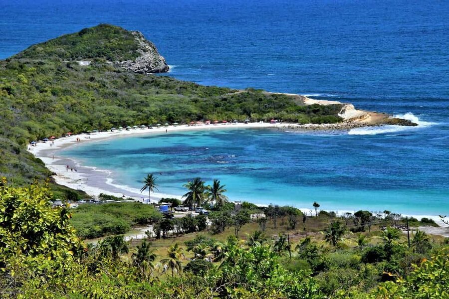 From St John's: Half Moon Bay Beach Half-Day Trip by Van - FAQ